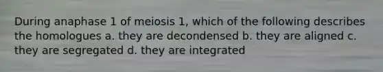 During anaphase 1 of meiosis 1, which of the following describes the homologues a. they are decondensed b. they are aligned c. they are segregated d. they are integrated