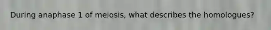 During anaphase 1 of meiosis, what describes the homologues?