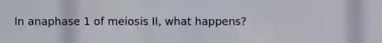 In anaphase 1 of meiosis II, what happens?