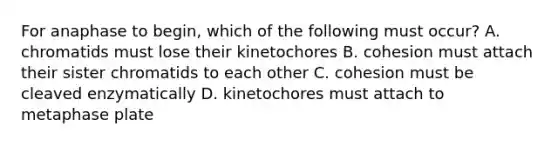 For anaphase to begin, which of the following must occur? A. chromatids must lose their kinetochores B. cohesion must attach their sister chromatids to each other C. cohesion must be cleaved enzymatically D. kinetochores must attach to metaphase plate