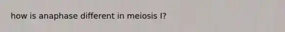 how is anaphase different in meiosis I?