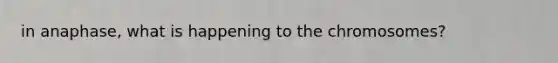 in anaphase, what is happening to the chromosomes?