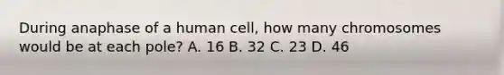 During anaphase of a human cell, how many chromosomes would be at each pole? A. 16 B. 32 C. 23 D. 46