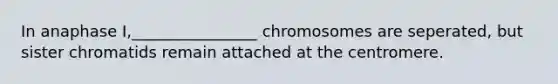 In anaphase I,________________ chromosomes are seperated, but sister chromatids remain attached at the centromere.