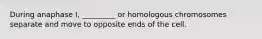 During anaphase I, _________ or homologous chromosomes separate and move to opposite ends of the cell.