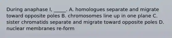 During anaphase I, _____. A. homologues separate and migrate toward opposite poles B. chromosomes line up in one plane C. sister chromatids separate and migrate toward opposite poles D. nuclear membranes re-form