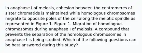 In anaphase I of meiosis, cohesion between the centromeres of sister chromatids is maintained while homologous chromosomes migrate to opposite poles of the cell along the meiotic spindle as represented in Figure 1. Figure 1. Migration of homologous chromosomes during anaphase I of meiosis. A compound that prevents the separation of the homologous chromosomes in anaphase I is being studied. Which of the following questions can be best answered during this study?