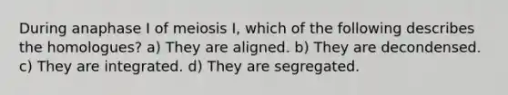 During anaphase I of meiosis I, which of the following describes the homologues? a) They are aligned. b) They are decondensed. c) They are integrated. d) They are segregated.