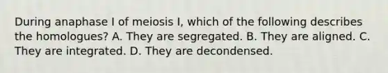 During anaphase I of meiosis I, which of the following describes the homologues? A. They are segregated. B. They are aligned. C. They are integrated. D. They are decondensed.