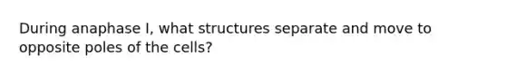 During anaphase I, what structures separate and move to opposite poles of the cells?