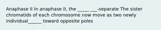 Anaphase II In anaphase II, the _____ ___-separate The sister chromatids of each chromosome now move as two newly individual______ toward opposite poles