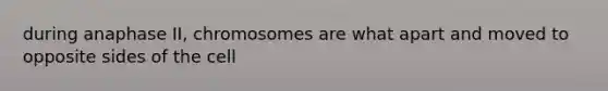 during anaphase II, chromosomes are what apart and moved to opposite sides of the cell