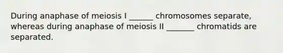 During anaphase of meiosis I ______ chromosomes separate, whereas during anaphase of meiosis II _______ chromatids are separated.