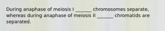 During anaphase of meiosis I _______ chromosomes separate, whereas during anaphase of meiosis II _______ chromatids are separated.