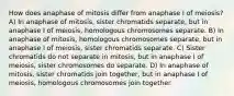 How does anaphase of mitosis differ from anaphase I of meiosis? A) In anaphase of mitosis, sister chromatids separate, but in anaphase I of meiosis, homologous chromosomes separate. B) In anaphase of mitosis, homologous chromosomes separate, but in anaphase I of meiosis, sister chromatids separate. C) Sister chromatids do not separate in mitosis, but in anaphase I of meiosis, sister chromosomes do separate. D) In anaphase of mitosis, sister chromatids join together, but in anaphase I of meiosis, homologous chromosomes join together.