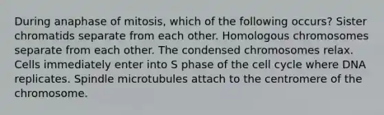 During anaphase of mitosis, which of the following occurs? Sister chromatids separate from each other. Homologous chromosomes separate from each other. The condensed chromosomes relax. Cells immediately enter into S phase of the cell cycle where DNA replicates. Spindle microtubules attach to the centromere of the chromosome.