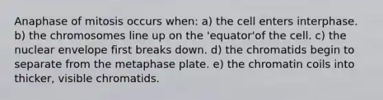 Anaphase of mitosis occurs when: a) the cell enters interphase. b) the chromosomes line up on the 'equator'of the cell. c) the nuclear envelope first breaks down. d) the chromatids begin to separate from the metaphase plate. e) the chromatin coils into thicker, visible chromatids.