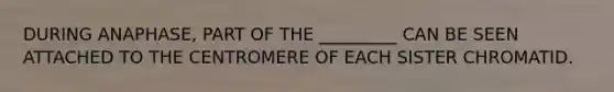 DURING ANAPHASE, PART OF THE _________ CAN BE SEEN ATTACHED TO THE CENTROMERE OF EACH SISTER CHROMATID.