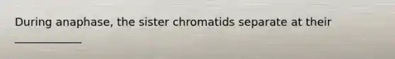 During anaphase, the sister chromatids separate at their ____________