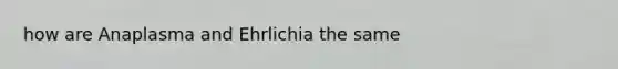 how are Anaplasma and Ehrlichia the same