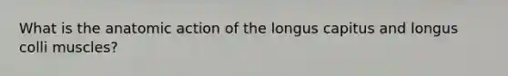 What is the anatomic action of the longus capitus and longus colli muscles?