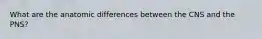 What are the anatomic differences between the CNS and the PNS?