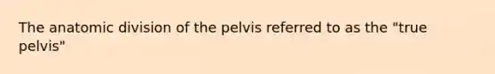 The anatomic division of the pelvis referred to as the "true pelvis"