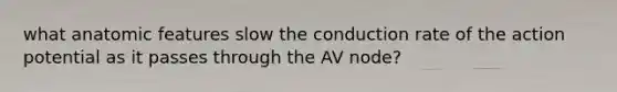 what anatomic features slow the conduction rate of the action potential as it passes through the AV node?