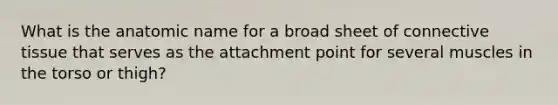 What is the anatomic name for a broad sheet of connective tissue that serves as the attachment point for several muscles in the torso or thigh?