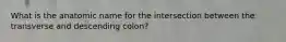 What is the anatomic name for the intersection between the transverse and descending colon?