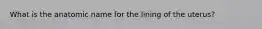 What is the anatomic name for the lining of the uterus?