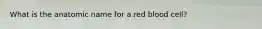 What is the anatomic name for a red blood cell?