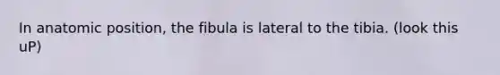 In anatomic position, the fibula is lateral to the tibia. (look this uP)