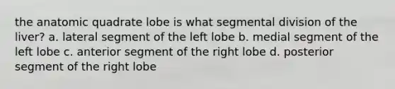 the anatomic quadrate lobe is what segmental division of the liver? a. lateral segment of the left lobe b. medial segment of the left lobe c. anterior segment of the right lobe d. posterior segment of the right lobe