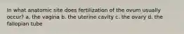 In what anatomic site does fertilization of the ovum usually occur? a. the vagina b. the uterine cavity c. the ovary d. the fallopian tube