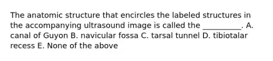 The anatomic structure that encircles the labeled structures in the accompanying ultrasound image is called the __________. A. canal of Guyon B. navicular fossa C. tarsal tunnel D. tibiotalar recess E. None of the above