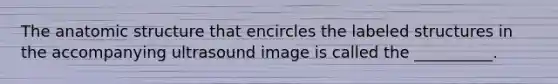 The anatomic structure that encircles the labeled structures in the accompanying ultrasound image is called the __________.