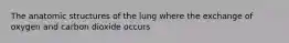 The anatomic structures of the lung where the exchange of oxygen and carbon dioxide occurs