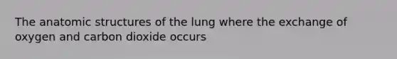 The anatomic structures of the lung where the exchange of oxygen and carbon dioxide occurs