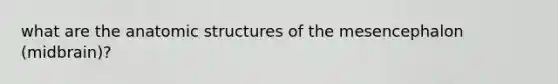 what are the anatomic structures of the mesencephalon (midbrain)?