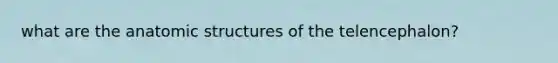 what are the anatomic structures of the telencephalon?