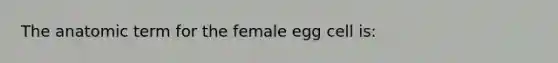 The anatomic term for the female egg cell is: