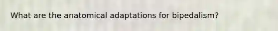 What are the anatomical adaptations for bipedalism?