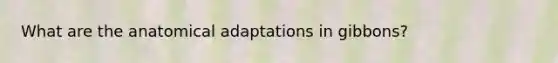 What are the anatomical adaptations in gibbons?