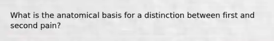 What is the anatomical basis for a distinction between first and second pain?