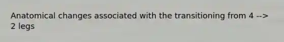 Anatomical changes associated with the transitioning from 4 --> 2 legs