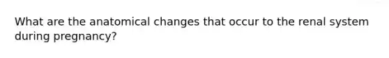 What are the anatomical changes that occur to the renal system during pregnancy?