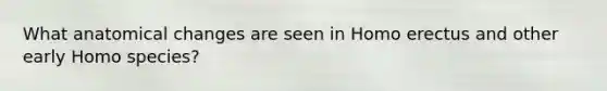What anatomical changes are seen in Homo erectus and other early Homo species?