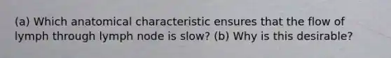 (a) Which anatomical characteristic ensures that the flow of lymph through lymph node is slow? (b) Why is this desirable?