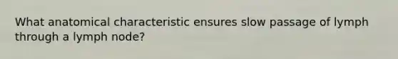 What anatomical characteristic ensures slow passage of lymph through a lymph node?